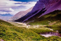 Vale-Frances-6