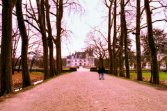 Chamoneux
