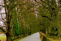 Jardins-Chamoneux