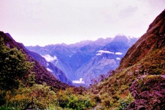 Pocaymayo-1