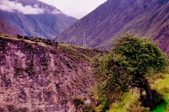 Vale-3