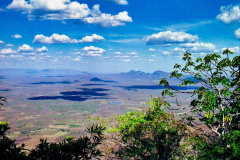 31-Vista-Parque