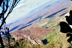 34-Vista-Parque