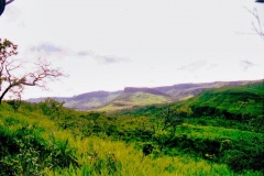 31-Fazenda
