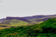 32-Fazenda