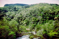 33-Rio