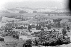 40-Vales