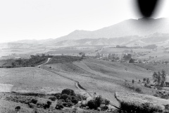 41-Vales