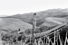 42-Vales