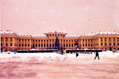 Schönbrum
