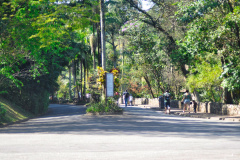 DSC_2004