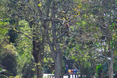 DSC_2005