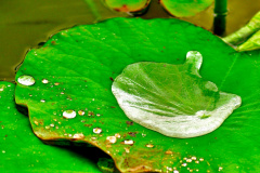 DSC0002