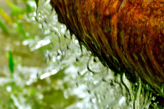 DSC0008